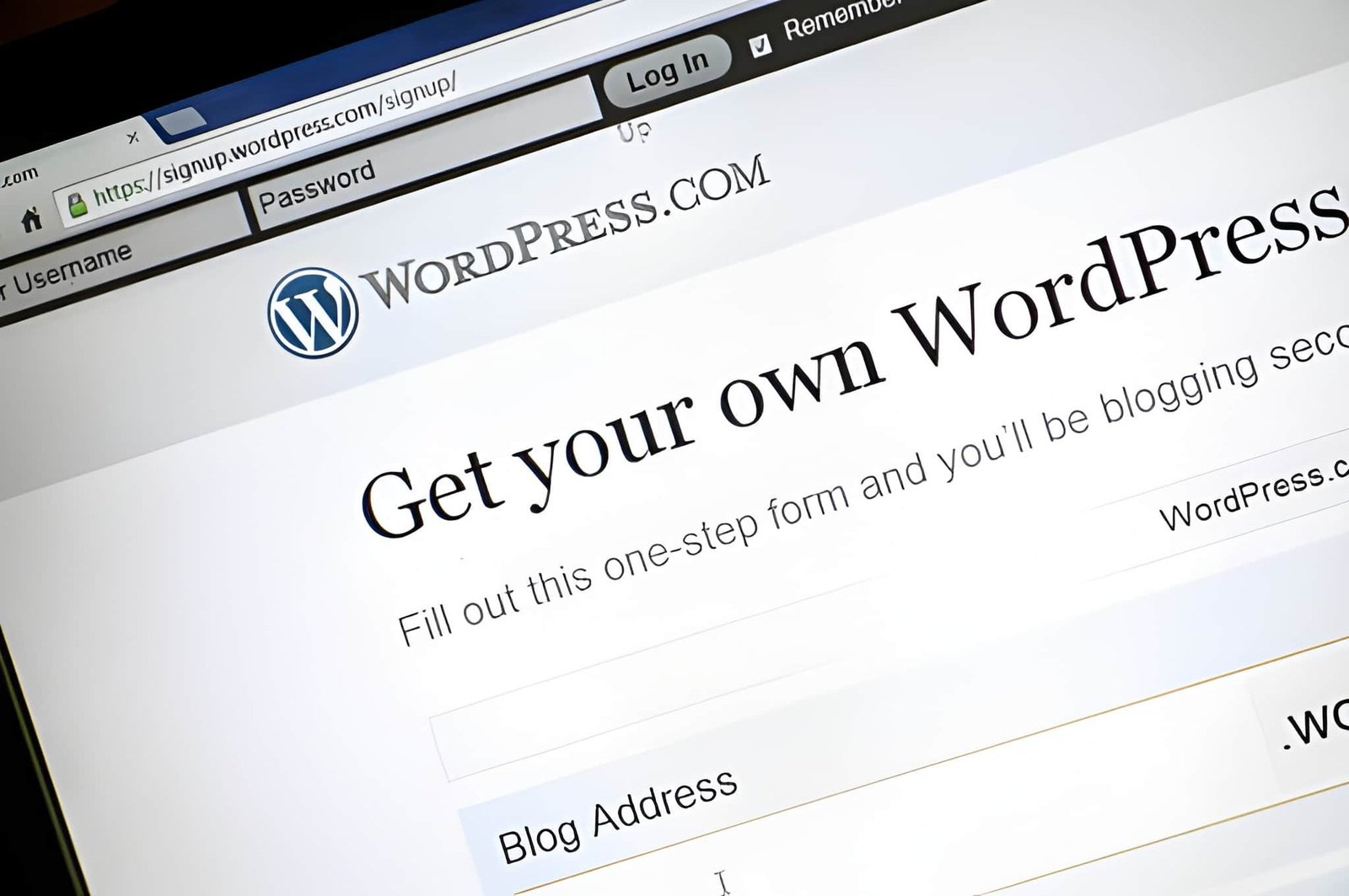 Wordpress seo services