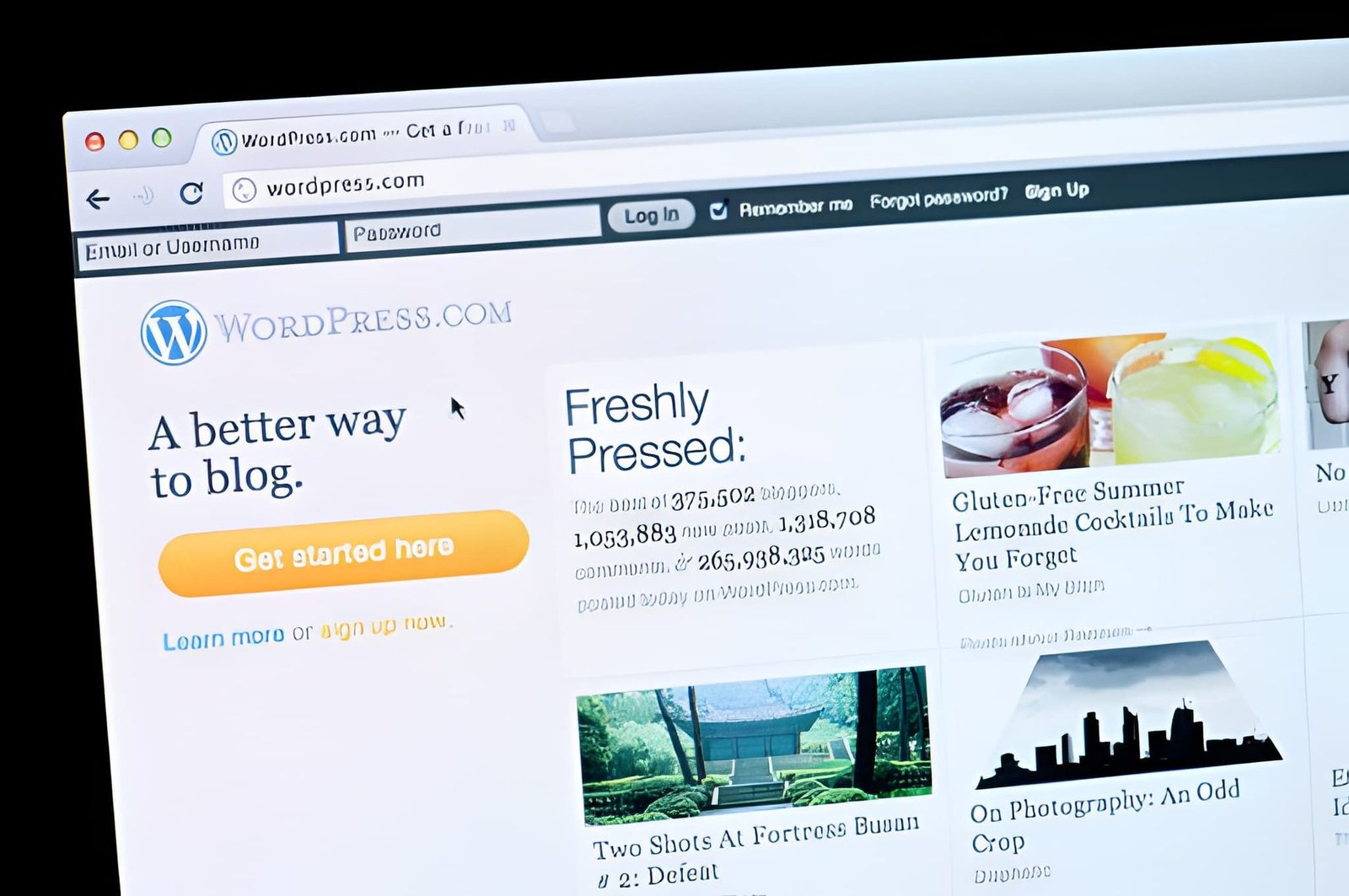 Wordpress seo services